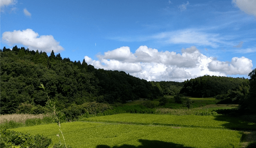 日本初の生物多様性オフセットの実証実験を行う「椿TC里山バンク」。43ヘクタールの土地の保全と地域経済活性化の両立を目指す。